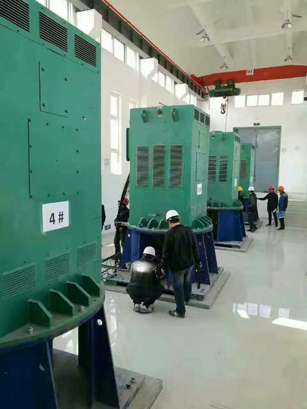 沙县某污水处理厂使用我厂的立式高压电机安装现场报价